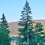 View Bed & Breakfast