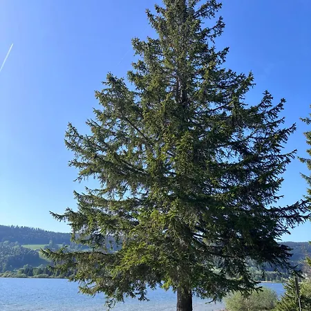 View Le Sentier