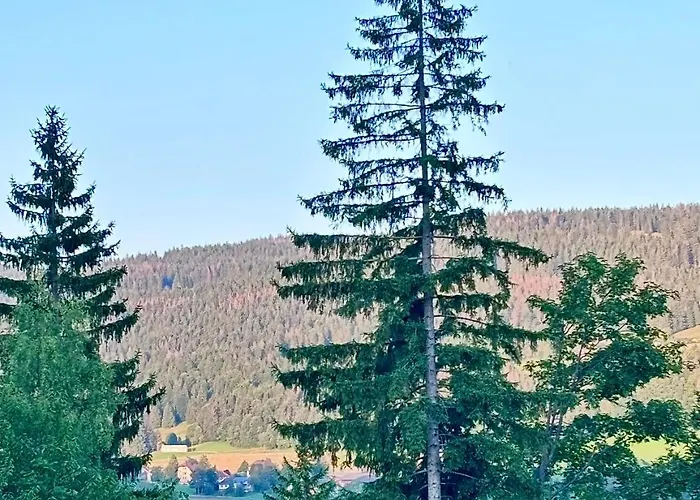 View Nocleg ze śniadaniem